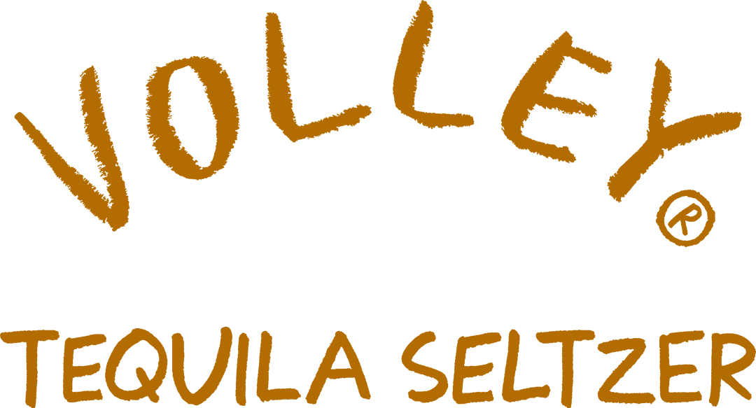 volley-logo-color